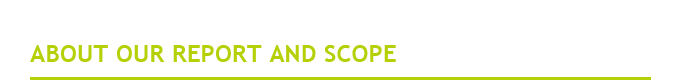 About Our Report and Scope
