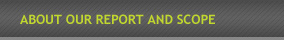 About Our Report and Scope