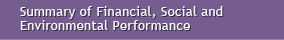 Summary of Financial Social and Environmental Performance